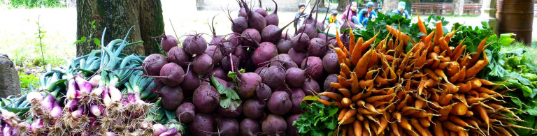 Unión de Trabajadores de la Tierra – “Somos los que producimos los alimentos para el pueblo”